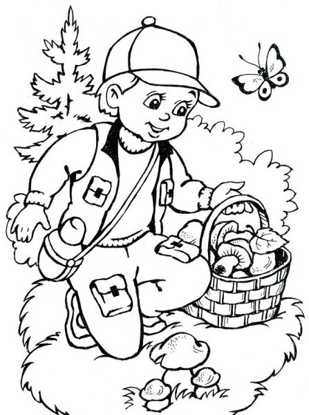 Грибы в лесу раскраска для детей