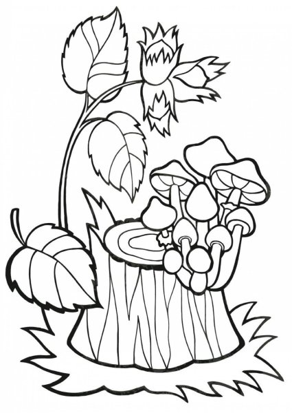 Осенние раскраски для малышей