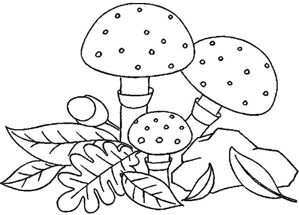 Раскраска грибы и ягоды