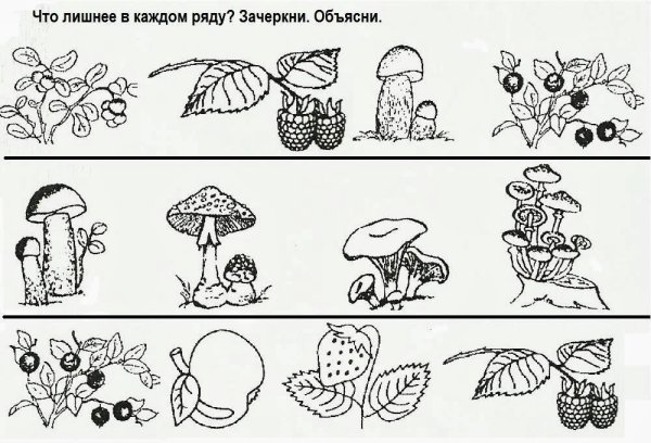 Грибы задания для дошкольников