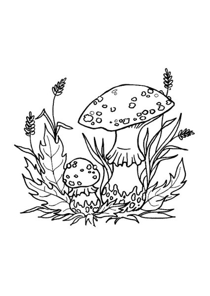 Мухомор раскраска