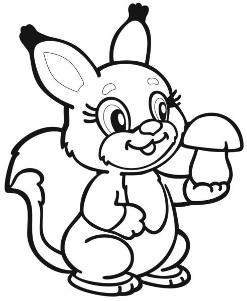 Раскраска Белочка