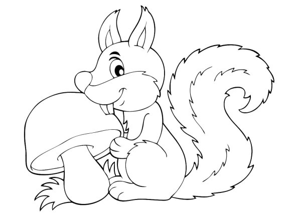 Раскраска белка с грибочком