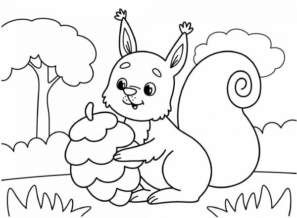 Раскраска Белочка