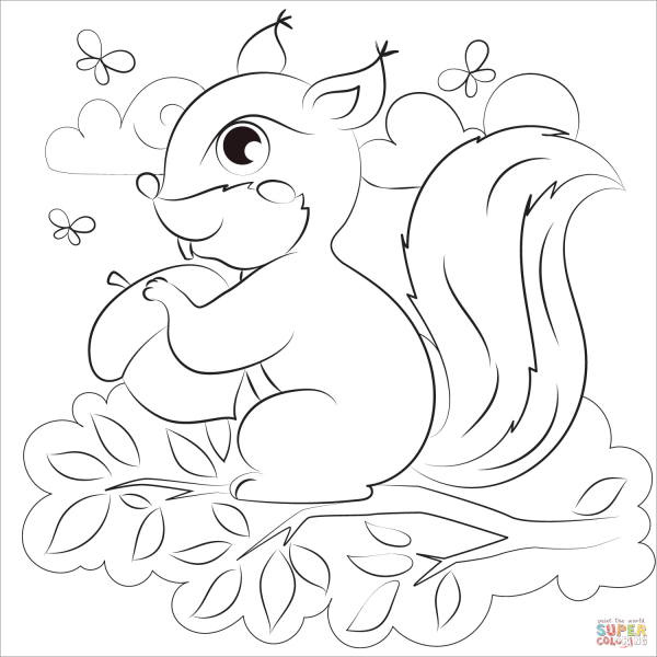 Бельчонок с цветами раскраска