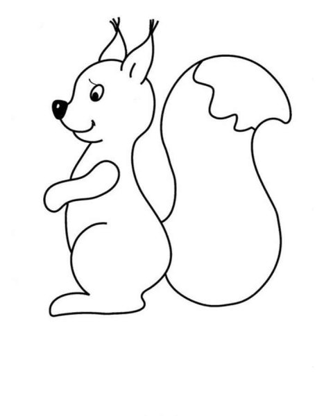 Белочка раскраска для малышей