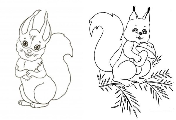 Белочка раскраска для детей