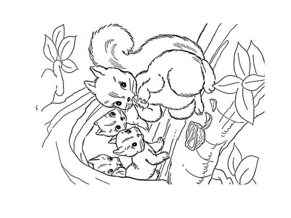 Белка и бельченокраскраска