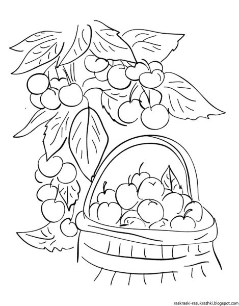 Натюрморт раскраска для детей
