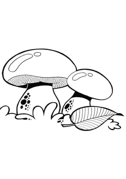 Трафареты грибов