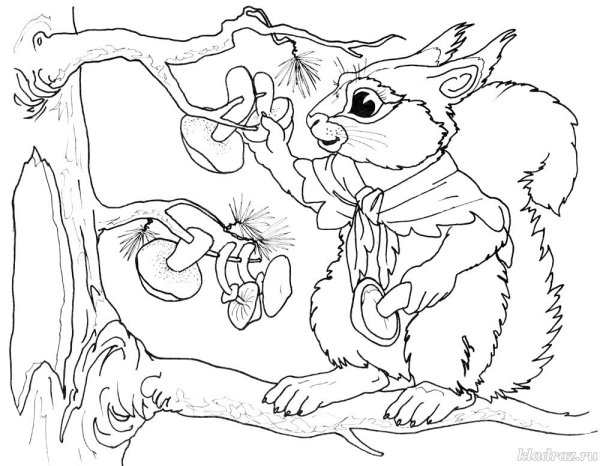 Раскраска белка в дупле зимой