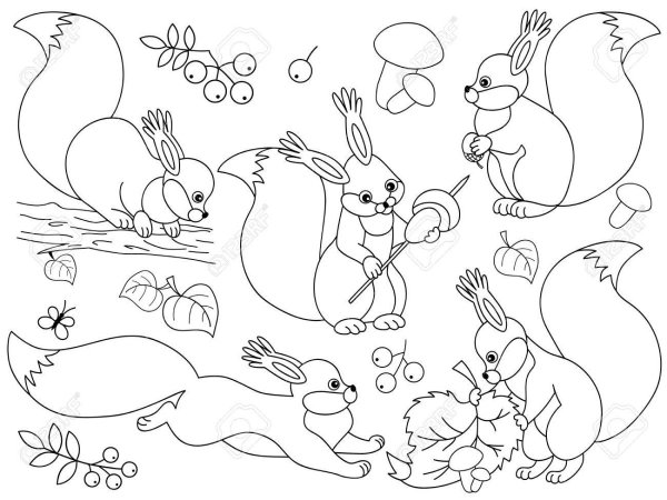 Белочка задания для малышей