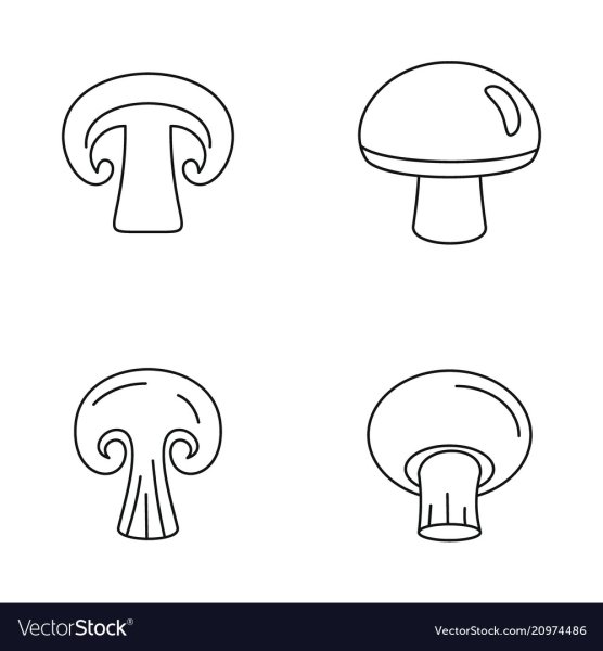 Шампиньон в разрезе вектор