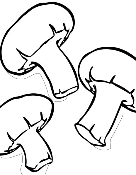 Раскраска шампиньоны гриб для детей