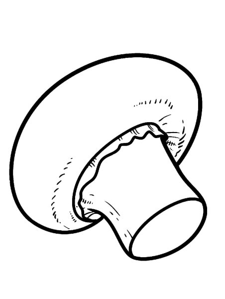 Раскраска гриб шампиньон