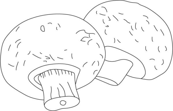 Шампиньон раскраска для детей