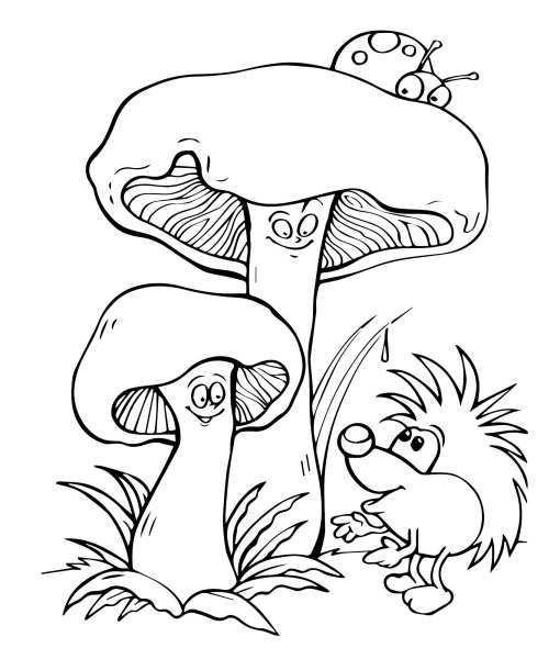 Гриб раскраска