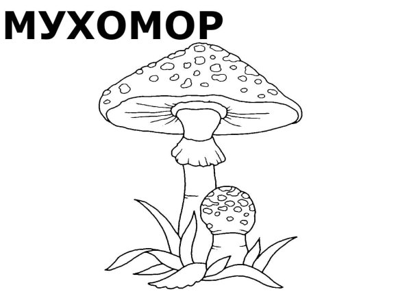 Несъедобные грибы раскраска для детей