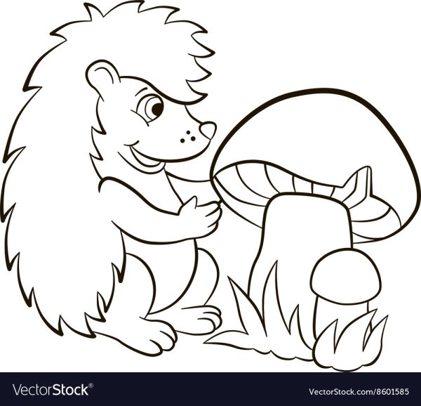 Ежик с яблоком раскраска для детей