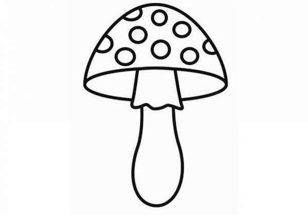 Грибы раскраска для детей