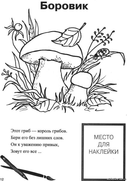 Боровик раскраска для детей