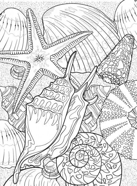 Раскраска антистресс лето