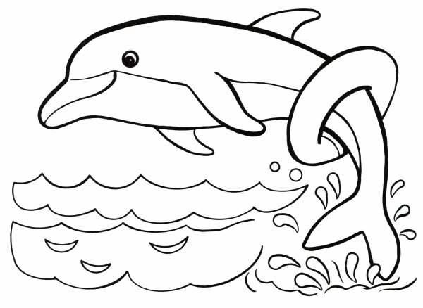 Черноморская Афалина раскраска