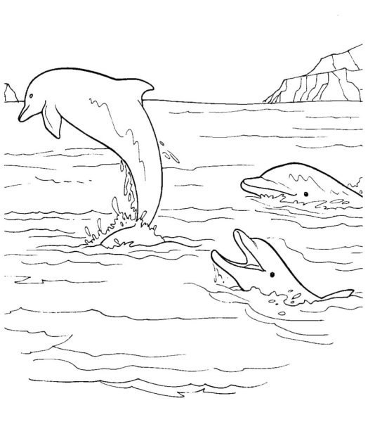 Раскраска море с дельфинами
