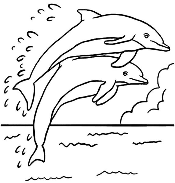 Раскраска дельфины в море