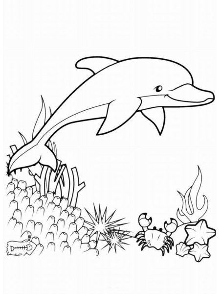 Раскраска морские обитатели