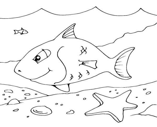 Морские рыбы раскраска для детей