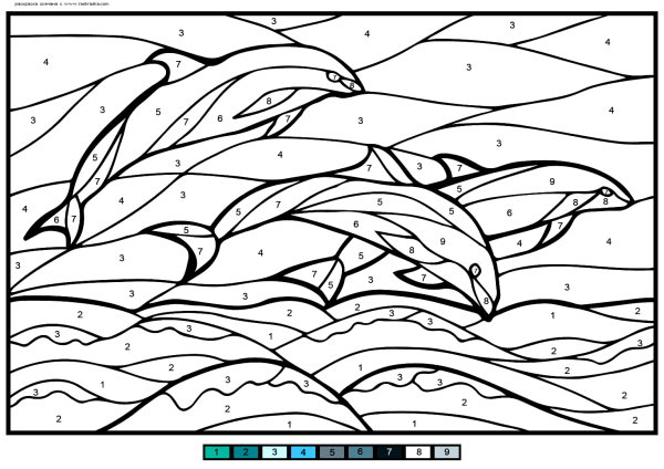 Раскраска по номерам дельфины