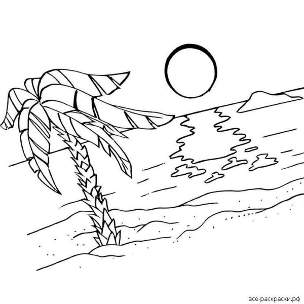 Разукрашка море пальмы