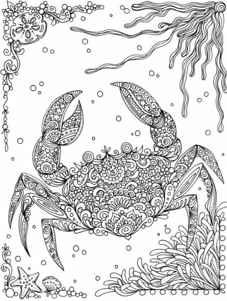 Морские обитатели раскраска для взрослых
