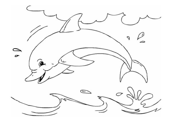 Белобокий Дельфин раскраска