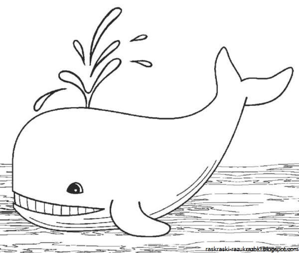 Кит раскраска для детей