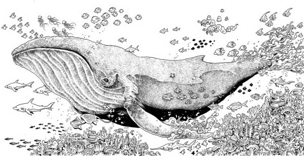 Керби Розанес осьминог