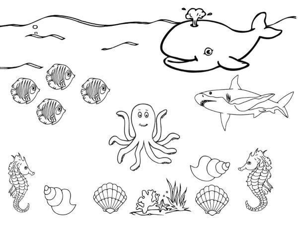 Раскраска морские обитатели