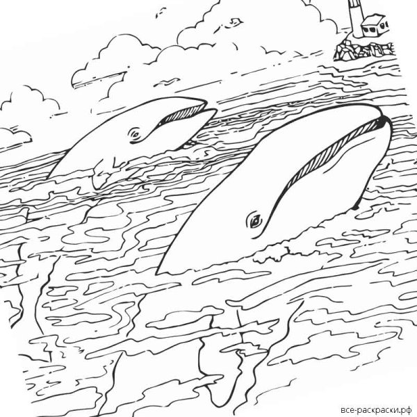 Кит в море разукрашка