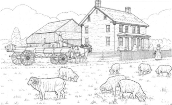 На ферме. Раскраска