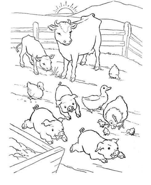 Раскраска домашние животные