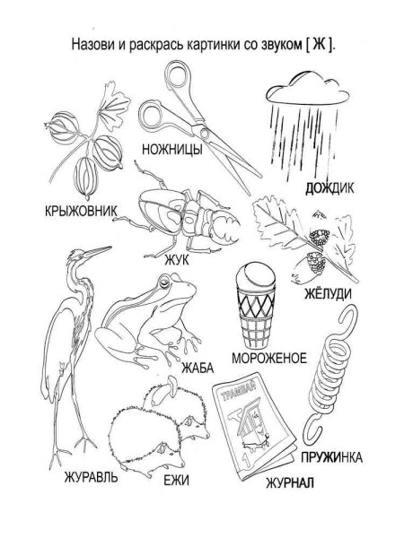 Звук ж задания для дошкольников