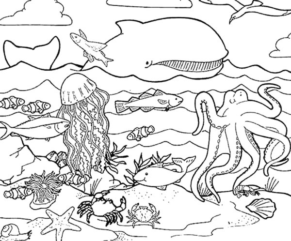 Раскраска "подводный мир"