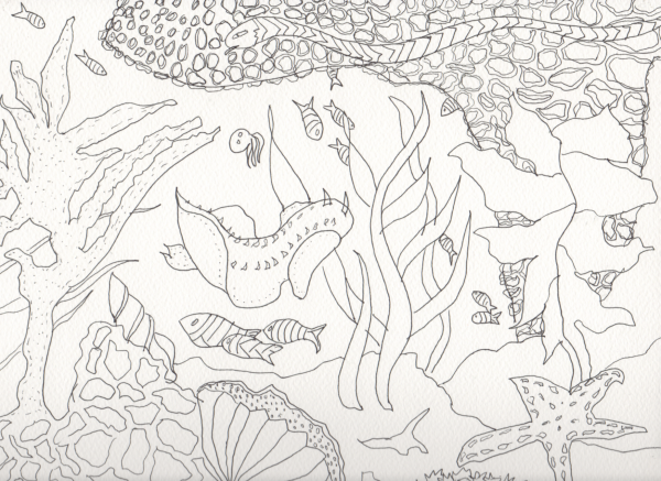 Морское дно раскраска