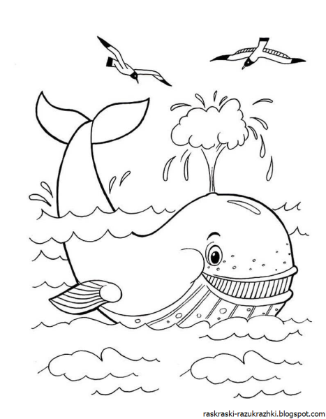 Раскраска. Кит