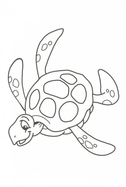 Раскраска зелёная