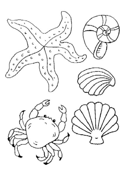 Раскраска "морские жители"
