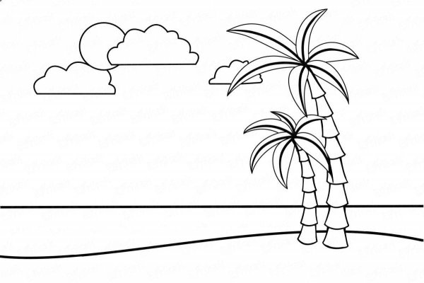 Пальма рисунок карандашом