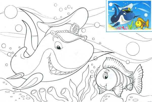 Раскраска морские обитатели
