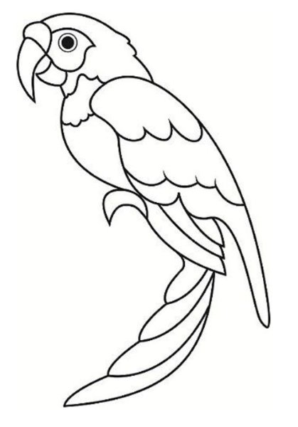 Попугай раскраска для детей